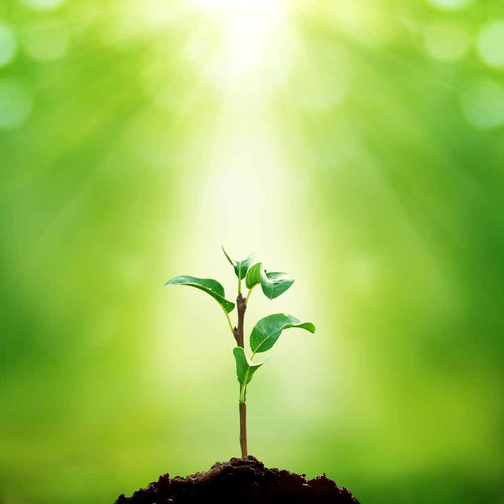 【用肥季】：記住肥料施用“十二忌”！