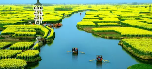 2016年農(nóng)業(yè)政策會有哪些重大變化？