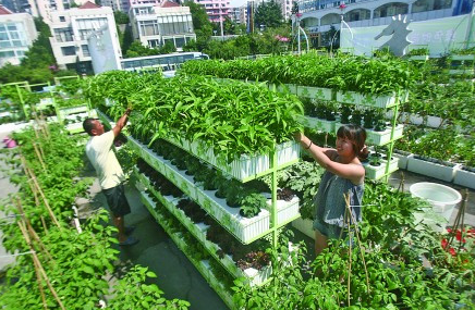 我國農業“減肥”“增綠”駛入快車道