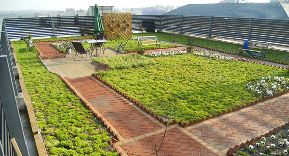 生活幫-植保專家教你怎樣除春季雜草現象