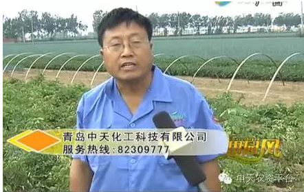 畝產萬斤，土豆高產不是夢！