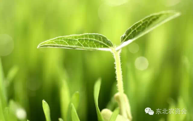 青島中天科技集團(tuán)-恭賀2017（第十屆）東北四省農(nóng)資產(chǎn)品博覽會(huì)舉辦取得圓滿成功！