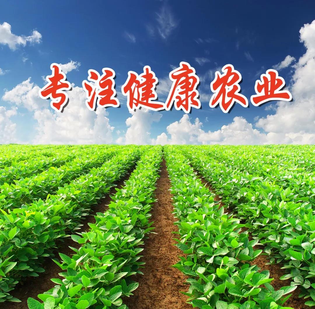 便宜肥料，用起來是真的便宜嗎？