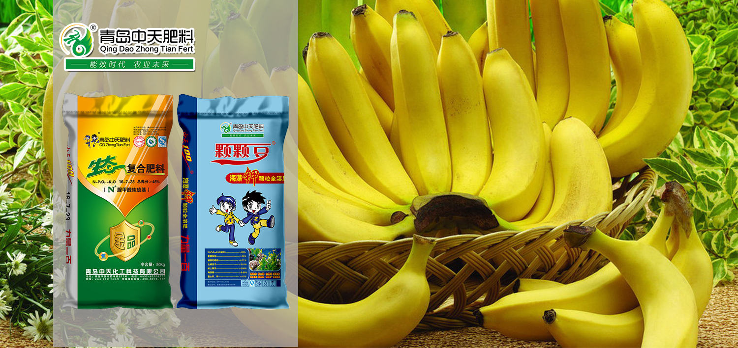 以效果求生存，以服務贏市場